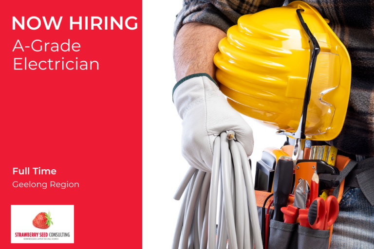 A Grade Electrician Job Vacancy Small Business HR Advice Strawberry